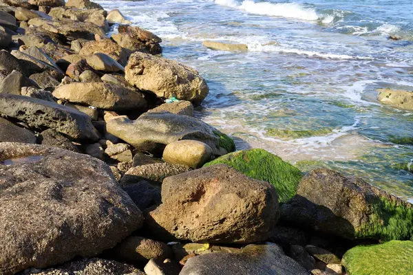 Large Stones Lie Shores Mediterranean Sea Northern Israel — Φωτογραφία Αρχείου