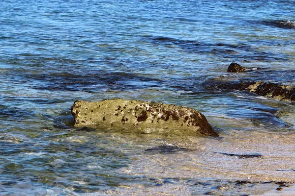 Large Stones Lie Shores Mediterranean Sea Northern Israel — Stock Fotó