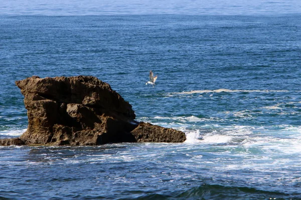 Large Stones Lie Shores Mediterranean Sea Northern Israel — Photo