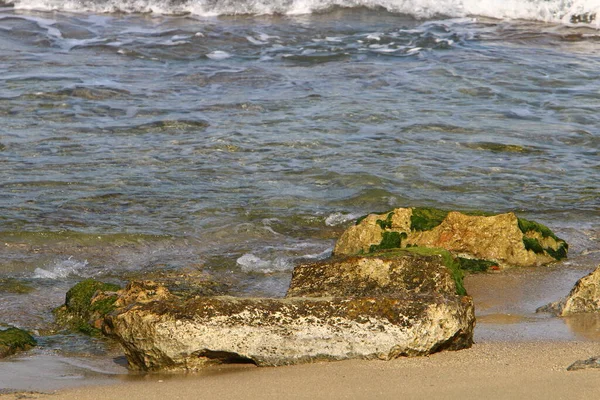 Grandes Piedras Encuentran Las Orillas Del Mar Mediterráneo Norte Israel —  Fotos de Stock