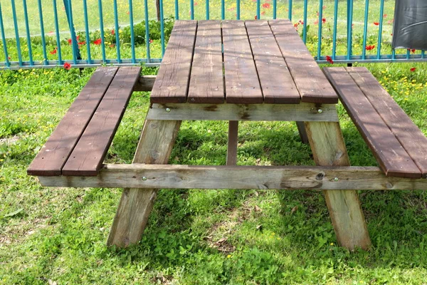 Stoel Tafel Een Café Een Stadspark Aan Middellandse Zee Israël — Stockfoto