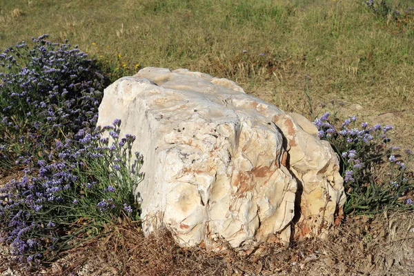 Камни Лежат Городском Парке Средиземном Море Севере Израиля — стоковое фото