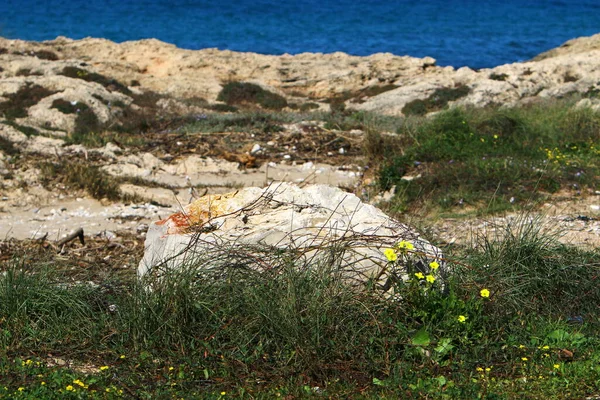 Pietre Trovano Parco Cittadino Sul Mar Mediterraneo Nel Nord Israele — Foto Stock