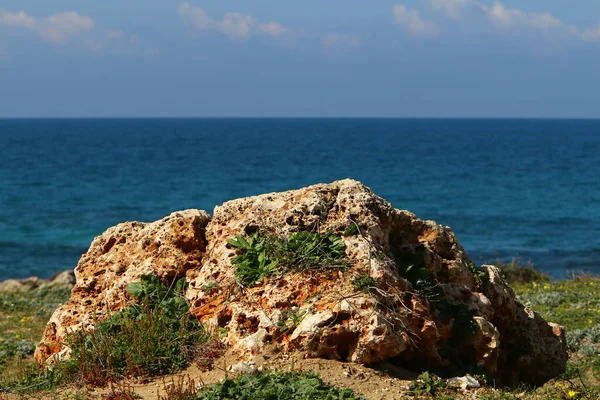 石はイスラエル北部の地中海の都市公園にあります — ストック写真