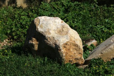 Taşlar, Kuzey İsrail 'deki Akdeniz' deki bir şehir parkında yatıyor. 