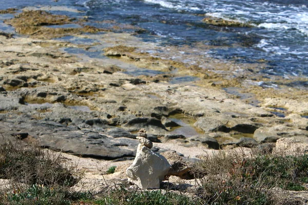 Камни Лежат Городском Парке Средиземном Море Севере Израиля — стоковое фото