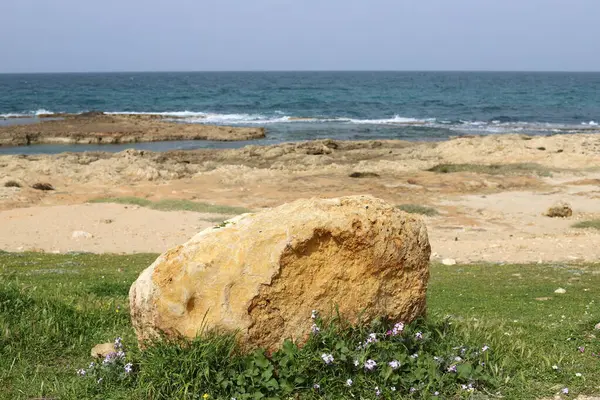 Stones Lie City Park Mediterranean Sea Northern Israel — Stock Photo, Image