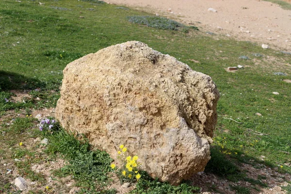 Pedras Encontram Parque Cidade Mar Mediterrâneo Norte Israel — Fotografia de Stock