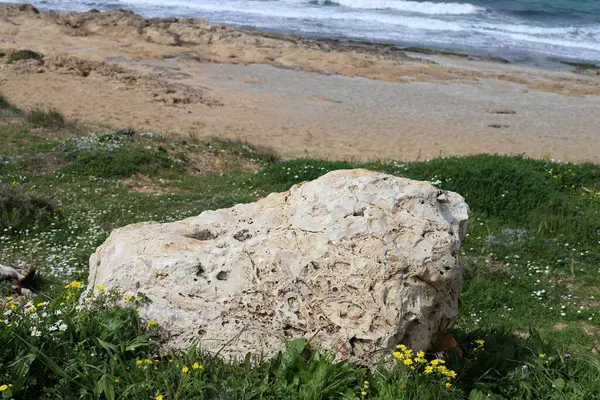 Pietre Trovano Parco Cittadino Sul Mar Mediterraneo Nel Nord Israele — Foto Stock