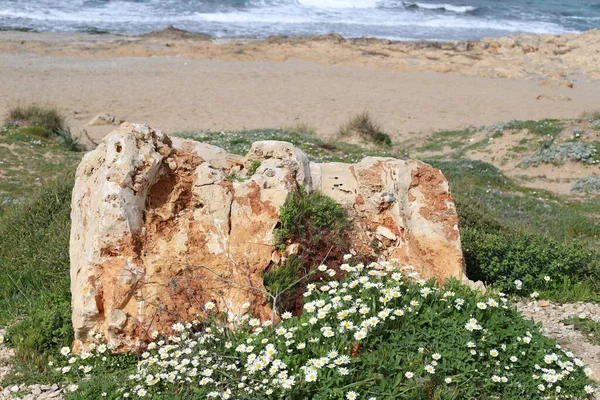 Pietre Trovano Parco Cittadino Sul Mar Mediterraneo Nel Nord Israele — Foto Stock