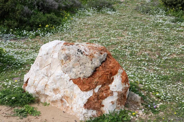 石はイスラエル北部の地中海の都市公園にあります — ストック写真