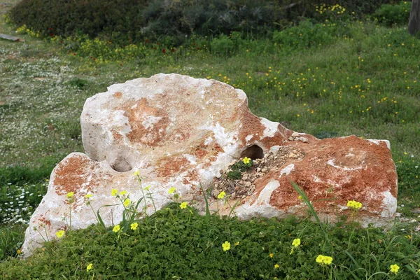 以色列北部地中海上的一个城市公园里有石头 — 图库照片