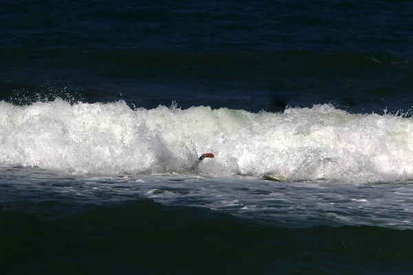 Surfer Auf Einem Speziellen Brett Auf Großen Wellen Mittelmeer — Stockfoto