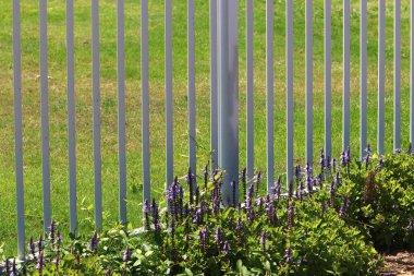 Yeşil bitkiler ve çiçekler İsrail 'in kuzeyindeki bir şehir parkında uzun bir çit boyunca yetişir. 