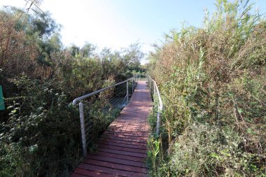 Kuzey İsrail 'deki bir yürüyüş yolunda engel oluşturan küçük bir köprü.. 