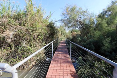 Kuzey İsrail 'deki bir yürüyüş yolunda engel oluşturan küçük bir köprü.. 