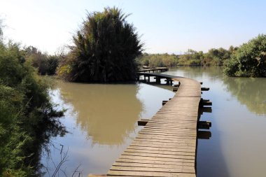 Kuzey İsrail 'deki bir yürüyüş yolunda engel oluşturan küçük bir köprü.. 