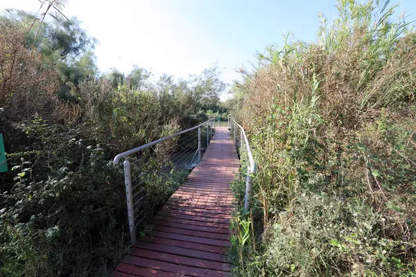 Piccolo Ponte Pedonale Ostacolo Sentiero Escursionistico Nel Nord Israele — Foto Stock