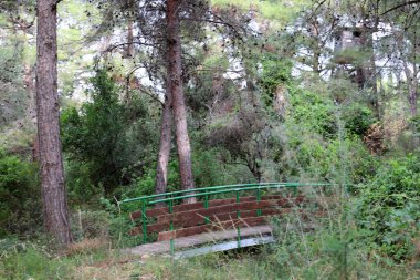 Kuzey İsrail 'deki bir yürüyüş yolunda engel oluşturan küçük bir köprü.. 