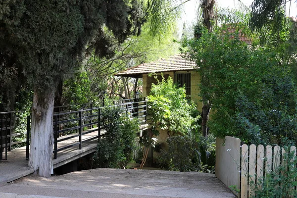 Une Petite Passerelle Dessus Obstacle Sur Sentier Randonnée Dans Nord — Photo