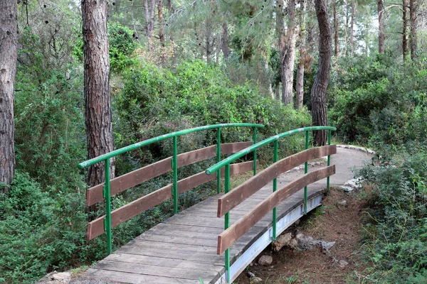 Una Pequeña Pasarela Sobre Obstáculo Una Ruta Senderismo Norte Israel — Foto de Stock