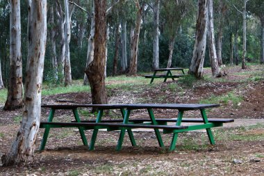 A bench for relaxation stands in a city park on the shores of the Mediterranean Sea on the Sesere of Israel 