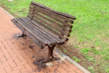 A bench for relaxation stands in a city park on the shores of the Mediterranean Sea on the Sesere of Israel 