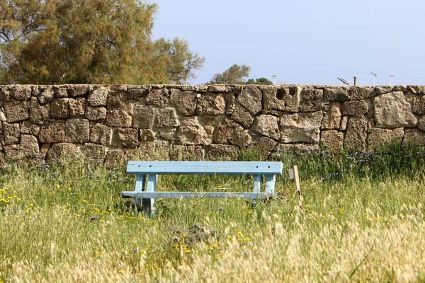 Bench Relaxation Stands City Park Shores Mediterranean Sea Sesere Israel — Stock Photo, Image