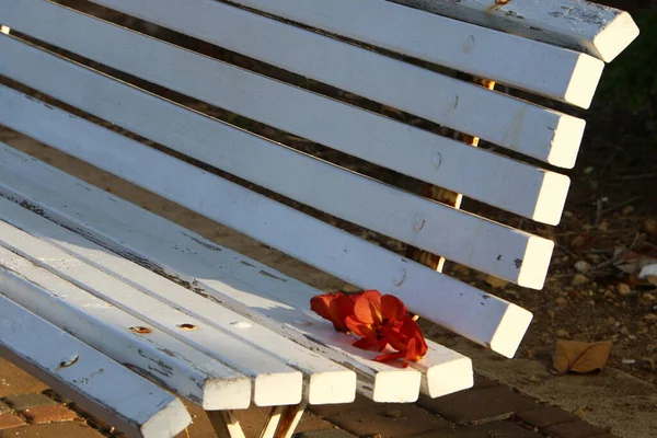 Banco Para Relaxamento Fica Parque Cidade Nas Margens Mar Mediterrâneo — Fotografia de Stock