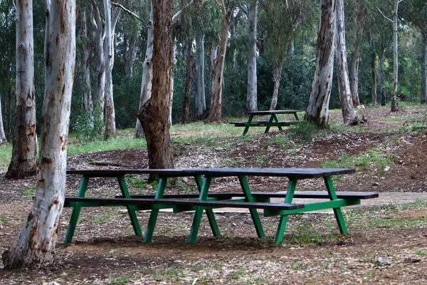 Banco Para Relaxamento Fica Parque Cidade Nas Margens Mar Mediterrâneo — Fotografia de Stock