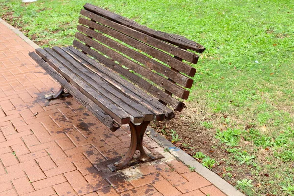 Banco Para Relaxamento Fica Parque Cidade Nas Margens Mar Mediterrâneo — Fotografia de Stock