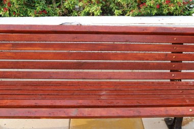 A bench for relaxation stands in a city park on the shores of the Mediterranean Sea on the Sesere of Israel 