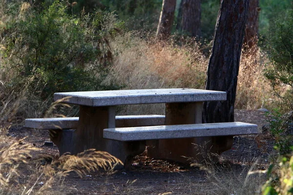 Bench Relaxation Stands City Park Shores Mediterranean Sea Sesere Israel — Stok fotoğraf