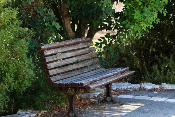 Banco Para Relaxamento Fica Parque Cidade Nas Margens Mar Mediterrâneo — Fotografia de Stock