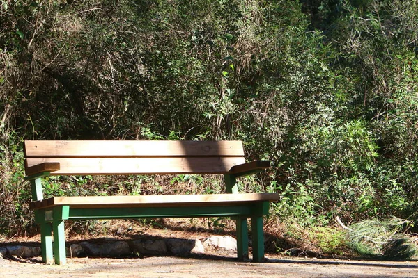 Bench Relaxation Stands City Park Shores Mediterranean Sea Sesere Israel — Stockfoto