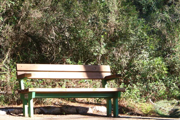 Eine Bank Zum Entspannen Steht Einem Stadtpark Ufer Des Mittelmeeres — Stockfoto