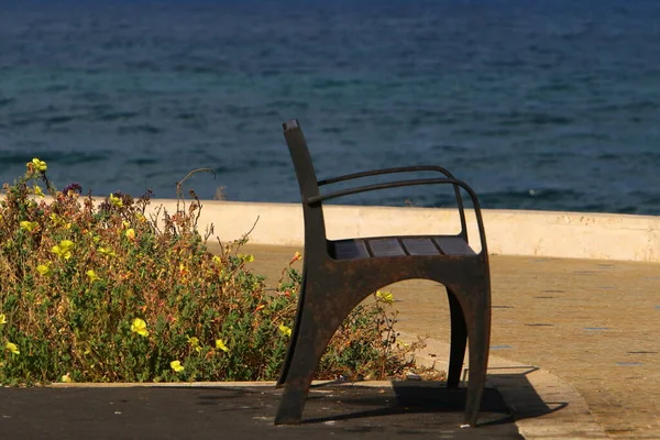 Bench Relaxation Stands City Park Shores Mediterranean Sea Sesere Israel — Stock Photo, Image