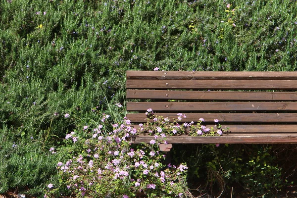 Banco Para Relaxamento Fica Parque Cidade Nas Margens Mar Mediterrâneo — Fotografia de Stock