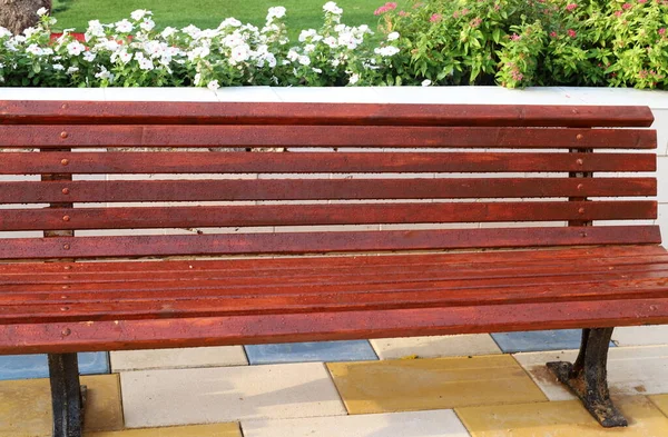 Bench Relaxation Stands City Park Shores Mediterranean Sea Sesere Israel — Stok fotoğraf