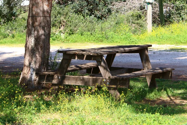 Bench Relaxation Stands City Park Shores Mediterranean Sea Sesere Israel — Stock Photo, Image