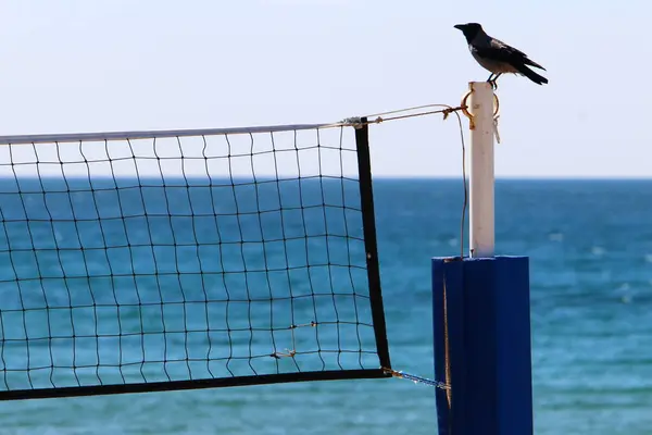 Équipements Équipements Sportifs Dans Parc Urbain Bord Mer Méditerranée Dans — Photo