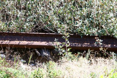 Eski demirde paslanma var. Paslı demir dokusu. Demirde oksitlenme nedeniyle kırmızı plaka var.. 