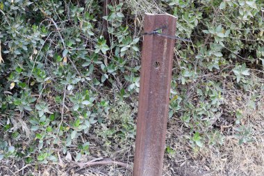 Eski demirde paslanma var. Paslı demir dokusu. Demirde oksitlenme nedeniyle kırmızı plaka var.. 