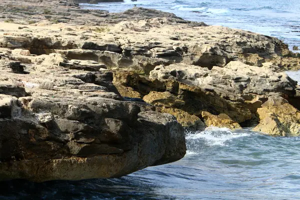 Huge Rocks Stones Shores Mediterranean Sea Northern Israel — Stock Photo, Image