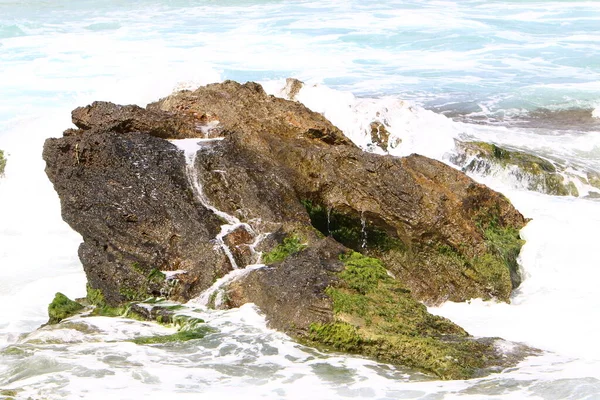 Srail Kuzeyindeki Akdeniz Kıyılarındaki Dev Kaya Taşlar — Stok fotoğraf