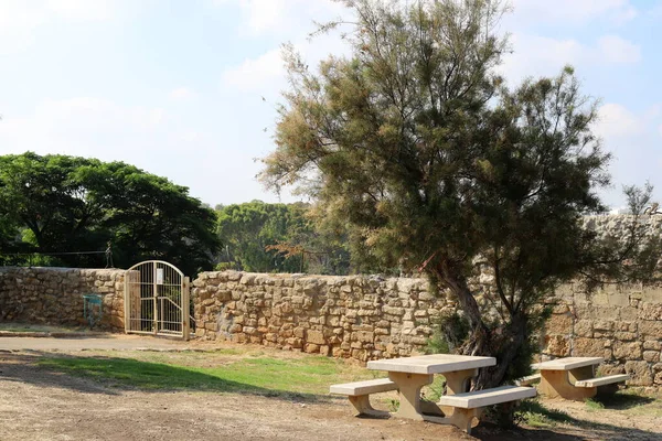 Руины Древнего Города Ахзивском Национальном Парке Средиземном Море Севере Израиля — стоковое фото