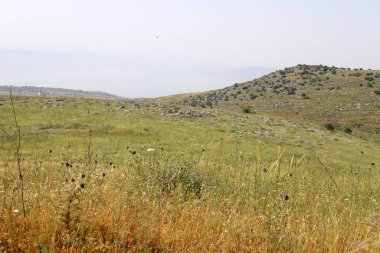 İsrail 'in kuzeyindeki dağların manzarası. İsrail 'deki Golan Tepeleri manzarası. 
