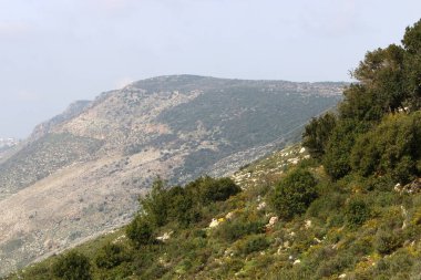 İsrail 'in kuzeyindeki dağların manzarası. İsrail 'deki Golan Tepeleri manzarası. 