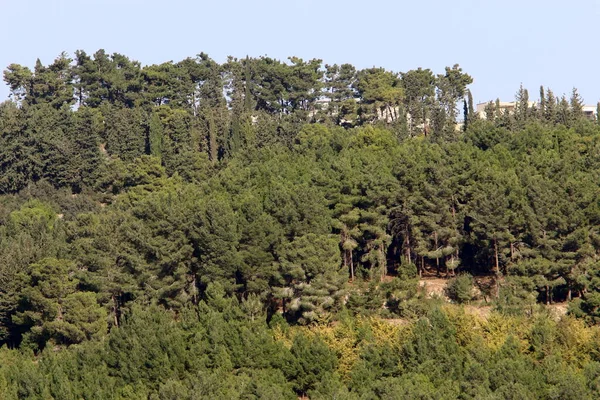 Τοπίο Στα Βουνά Στα Βόρεια Του Ισραήλ Άποψη Των Υψωμάτων — Φωτογραφία Αρχείου