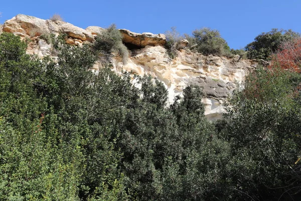 Landscape in the mountains in the north of Israel. View of the Golan Heights in Israel.